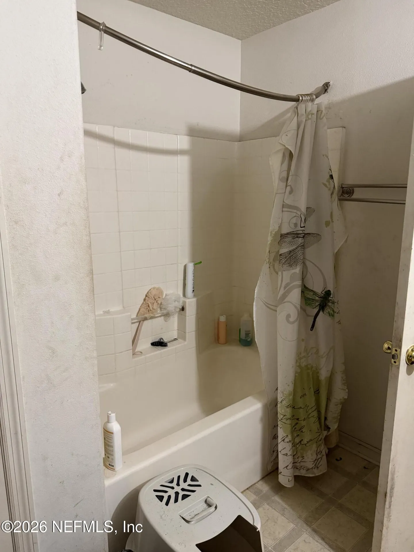 11360 Songbird Lakes Court Jacksonville FL 32221