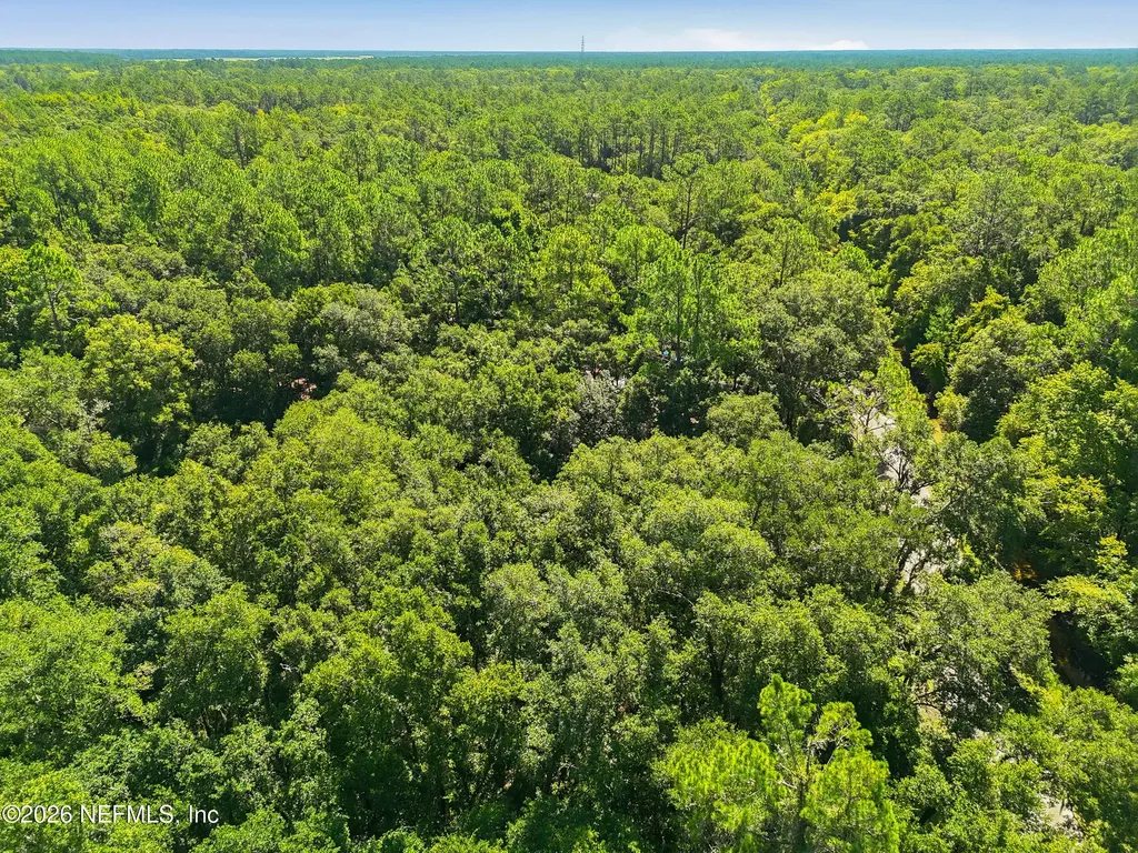 5020 Earl Street Hastings FL 32145