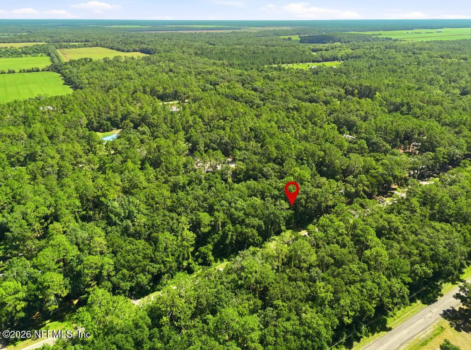 5020 Earl Street Hastings FL 32145