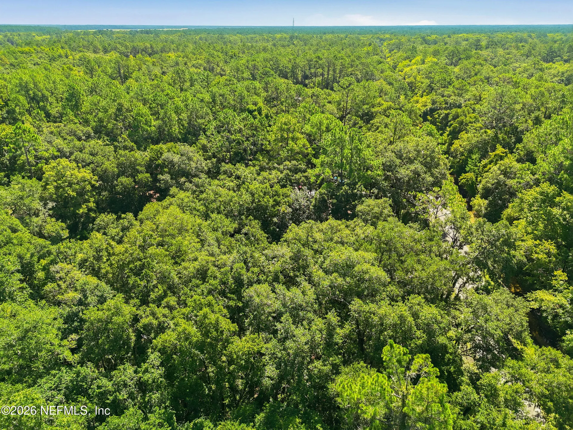 5020 Earl Street Hastings FL 32145