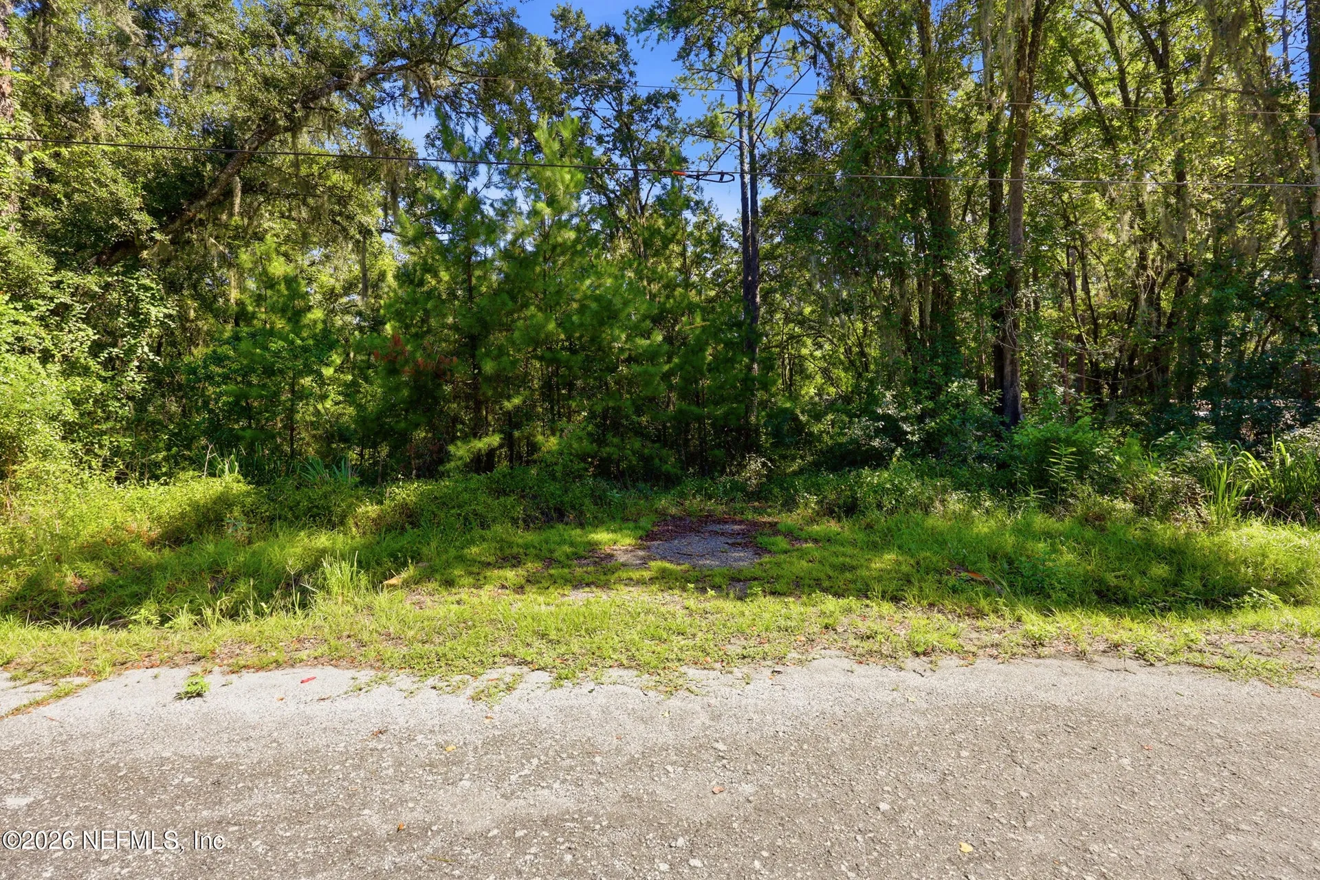 5020 Earl Street Hastings FL 32145