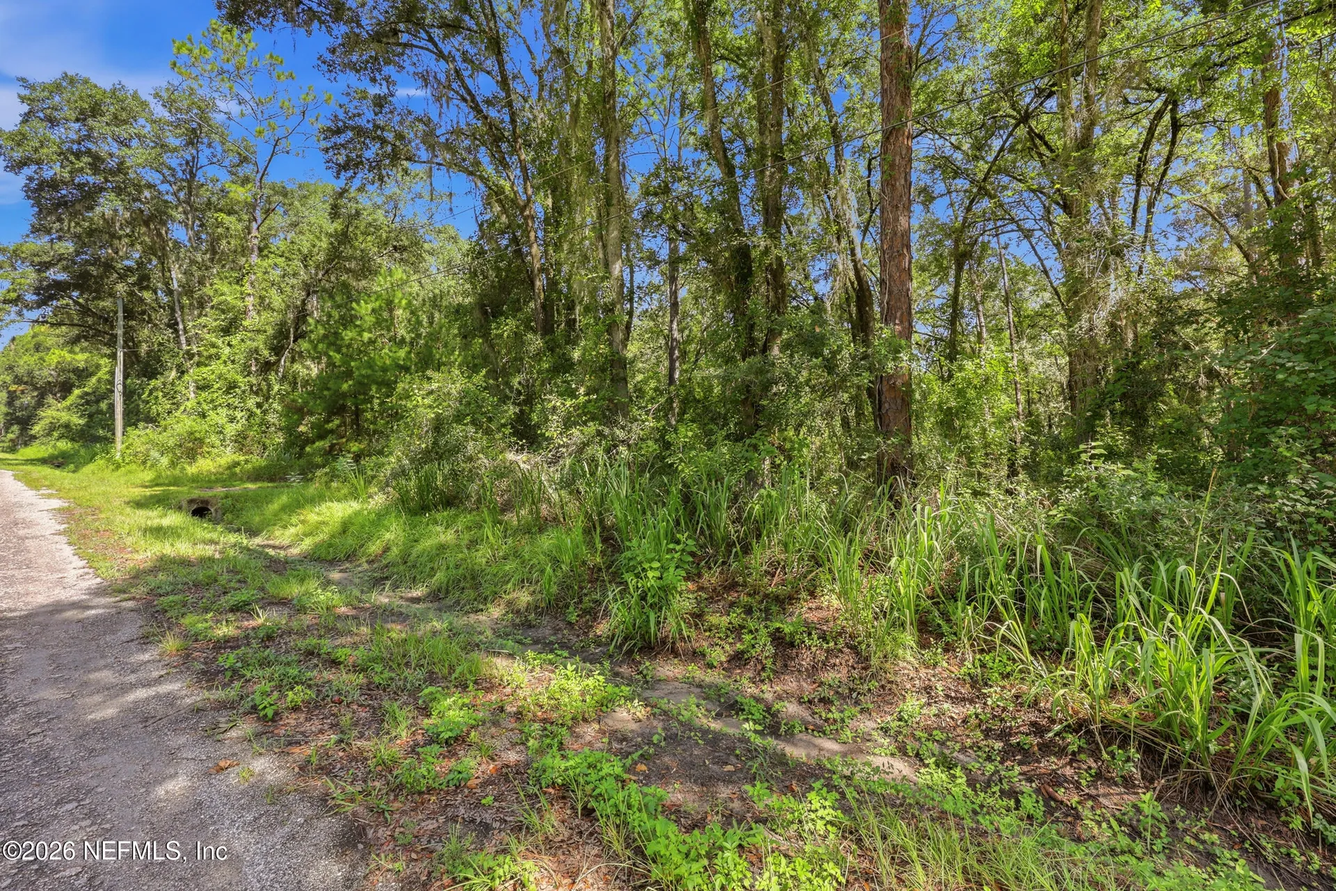 5020 Earl Street Hastings FL 32145