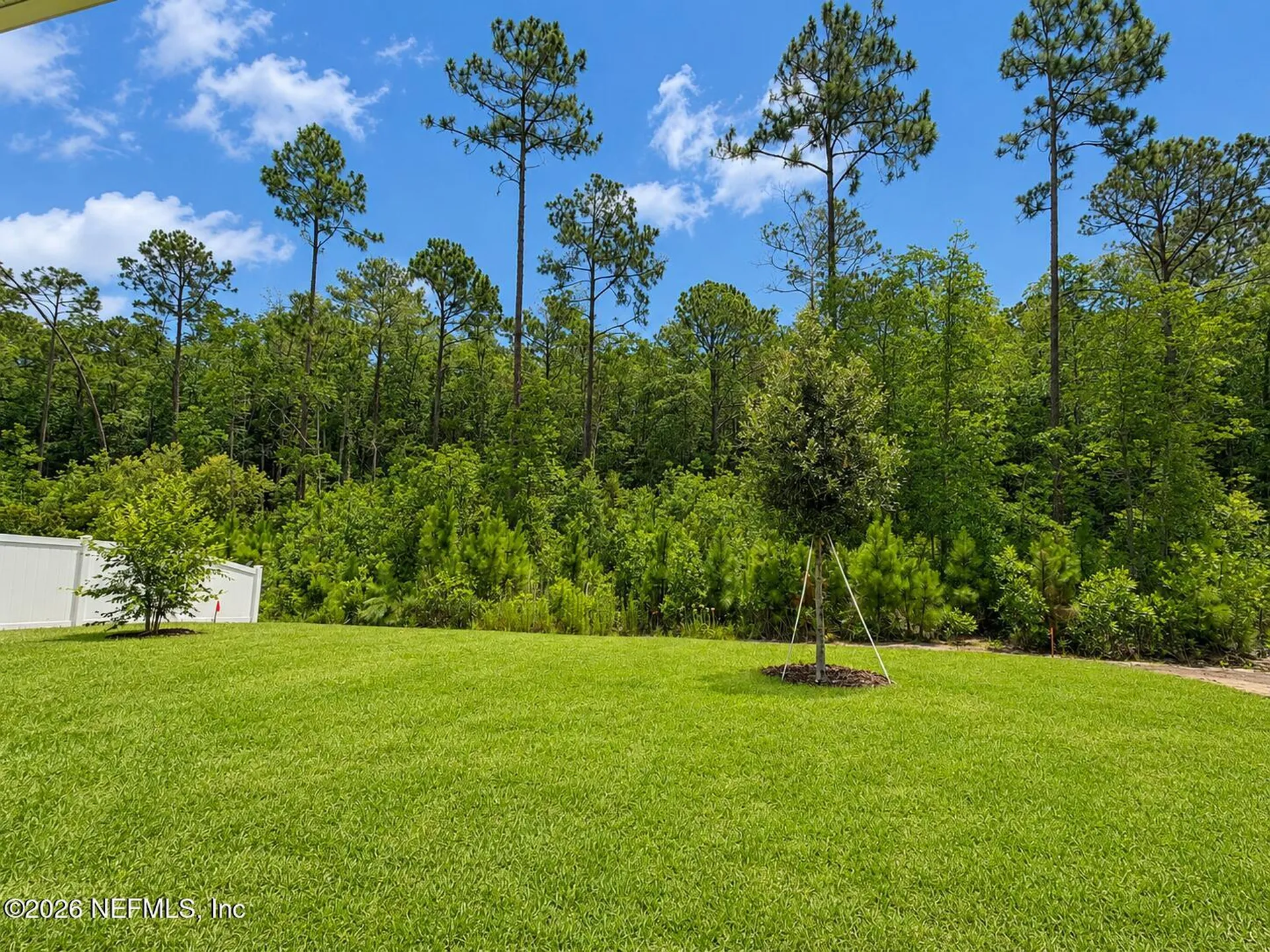 484 Foal Ridge Drive St. Augustine FL 32095