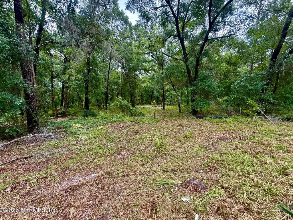 112 Peach Orchard Road Pomona Park FL 32181