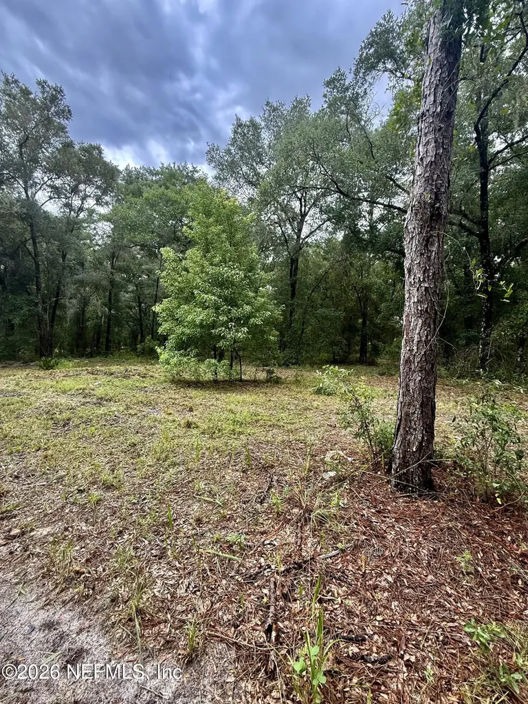 112 Peach Orchard Road Pomona Park FL 32181