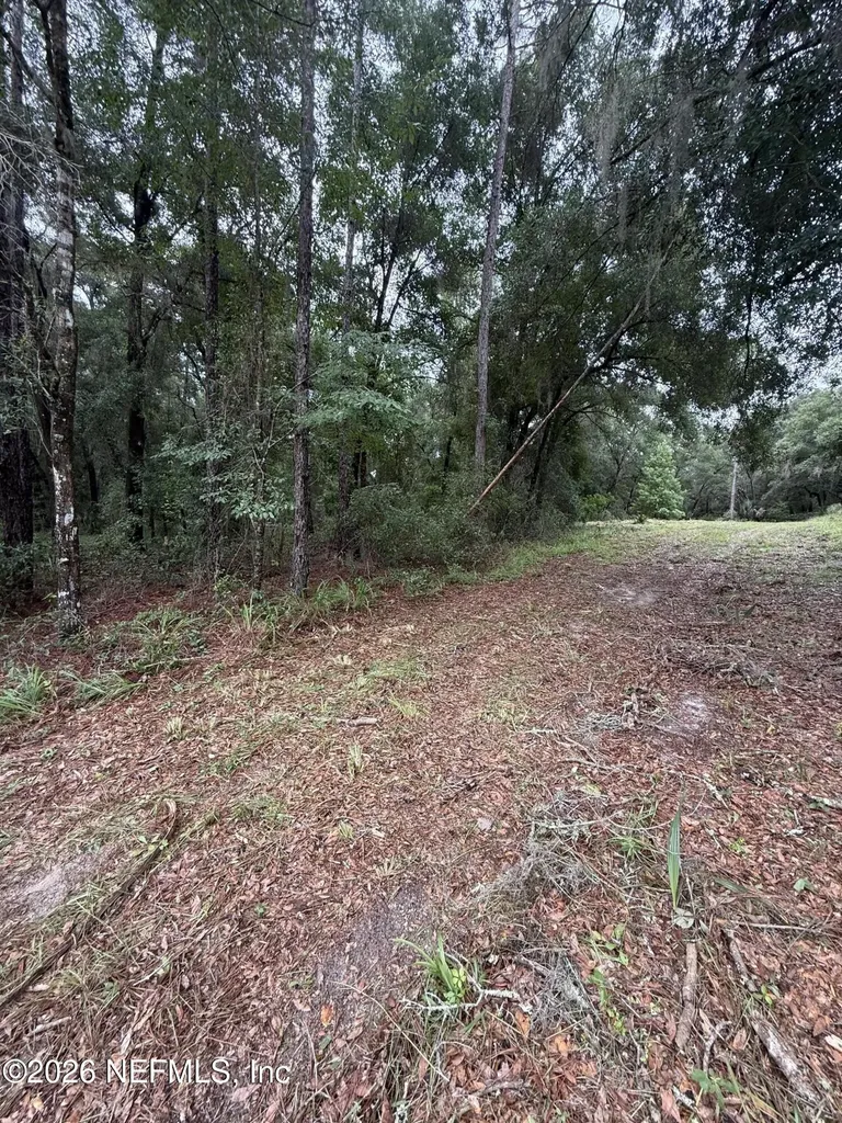112 Peach Orchard Road Pomona Park FL 32181