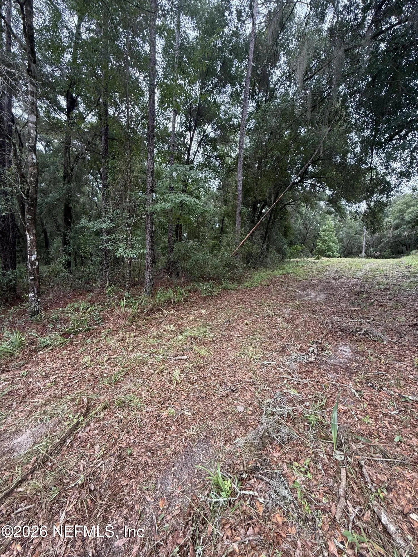 112 Peach Orchard Road Pomona Park FL 32181
