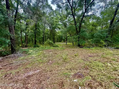 112 Peach Orchard Road Pomona Park FL 32181