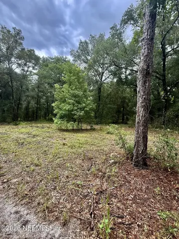112 Peach Orchard Road Pomona Park FL 32181