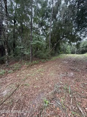 112 Peach Orchard Road Pomona Park FL 32181