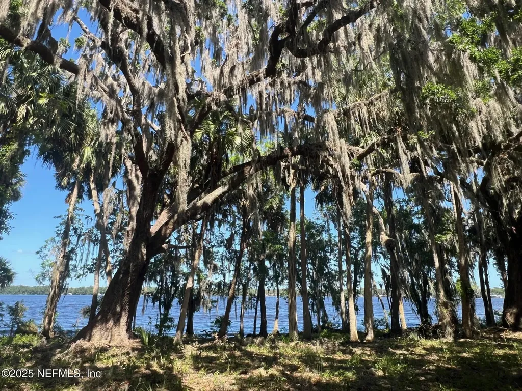762 National Forest Road 75g Road Palatka FL 32177