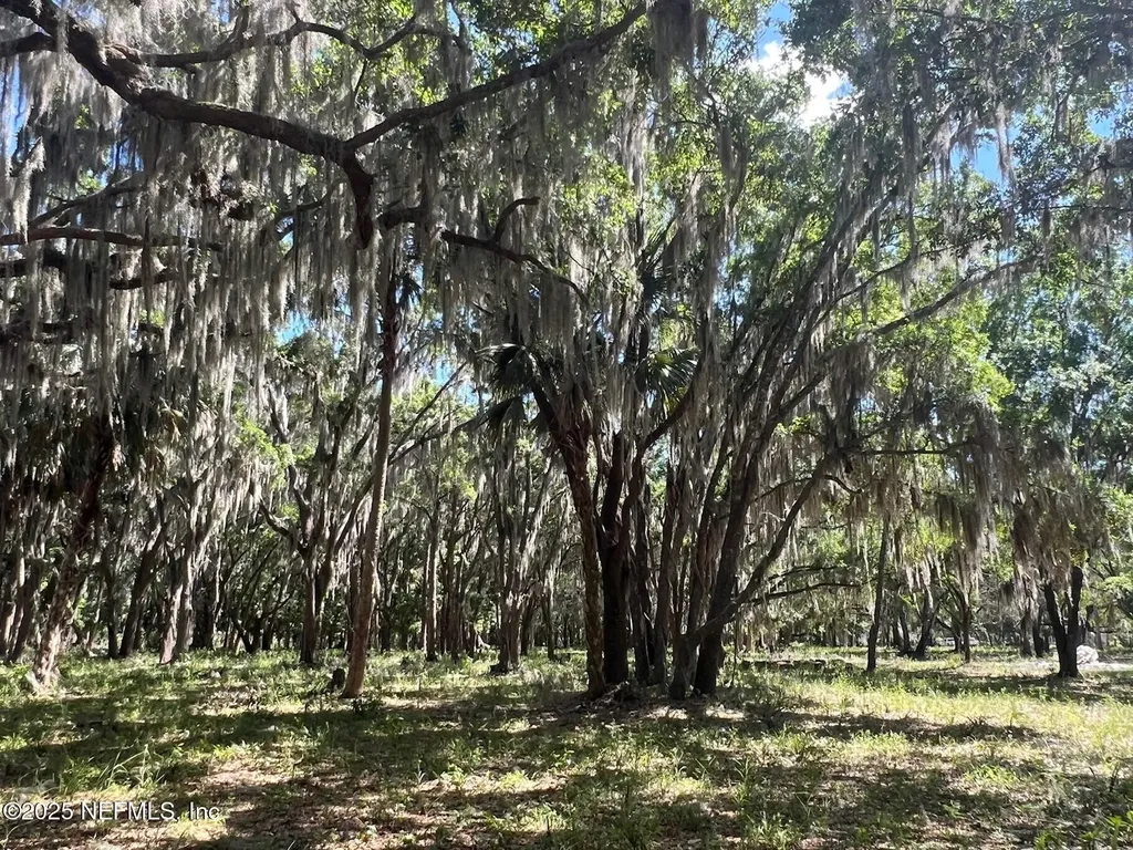 762 National Forest Road 75g Road Palatka FL 32177