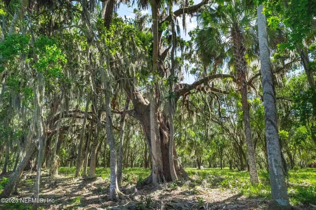 762 National Forest Road 75g Road Palatka FL 32177