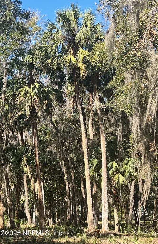 762 National Forest Road 75g Road Palatka FL 32177