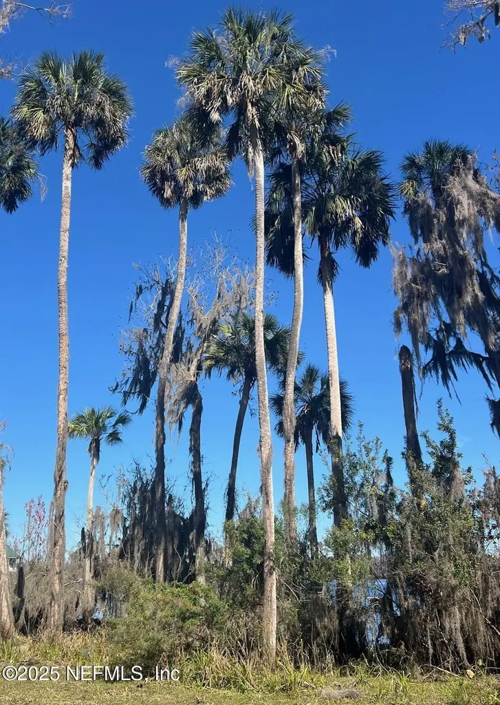 762 National Forest Road 75g Road Palatka FL 32177