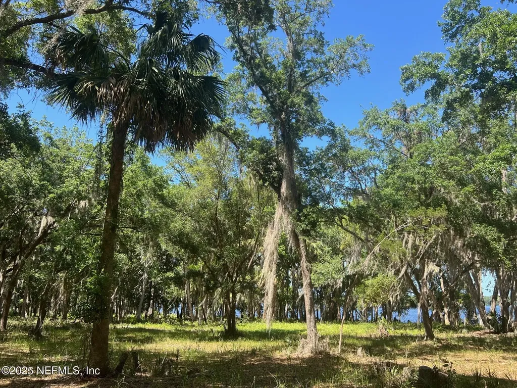 762 National Forest Road 75g Road Palatka FL 32177