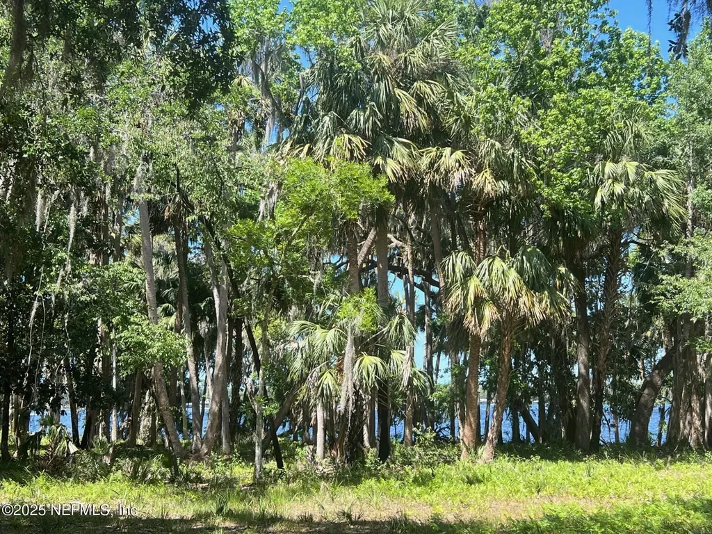 762 National Forest Road 75g Road Palatka FL 32177