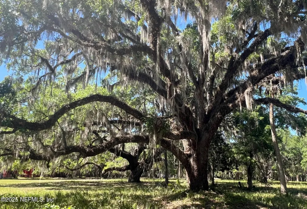 762 National Forest Road 75g Road Palatka FL 32177