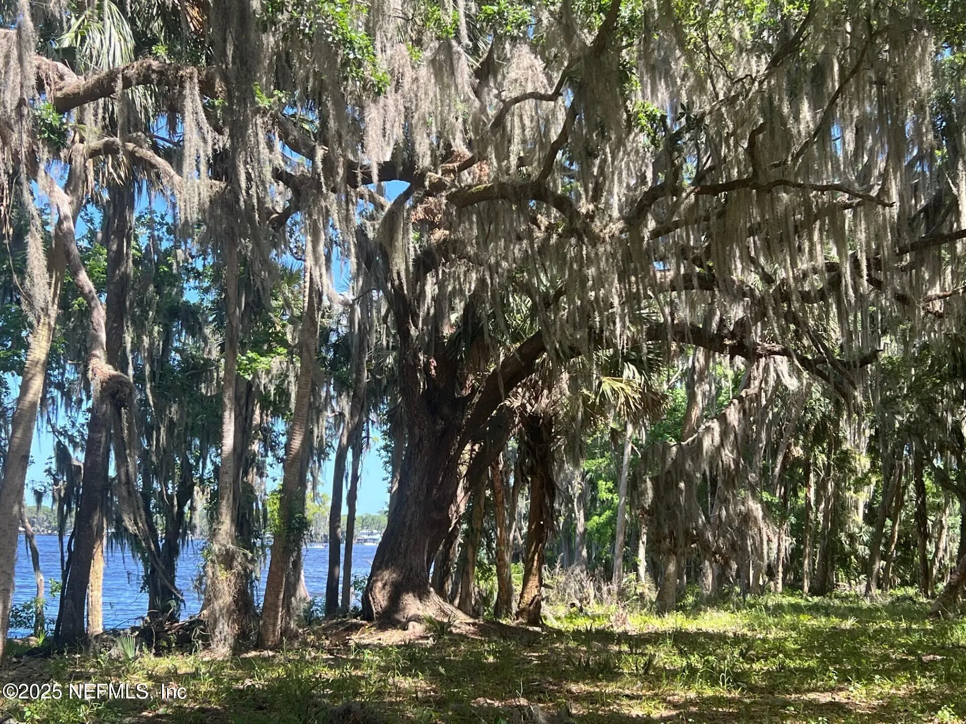 762 National Forest Road 75g Road Palatka FL 32177