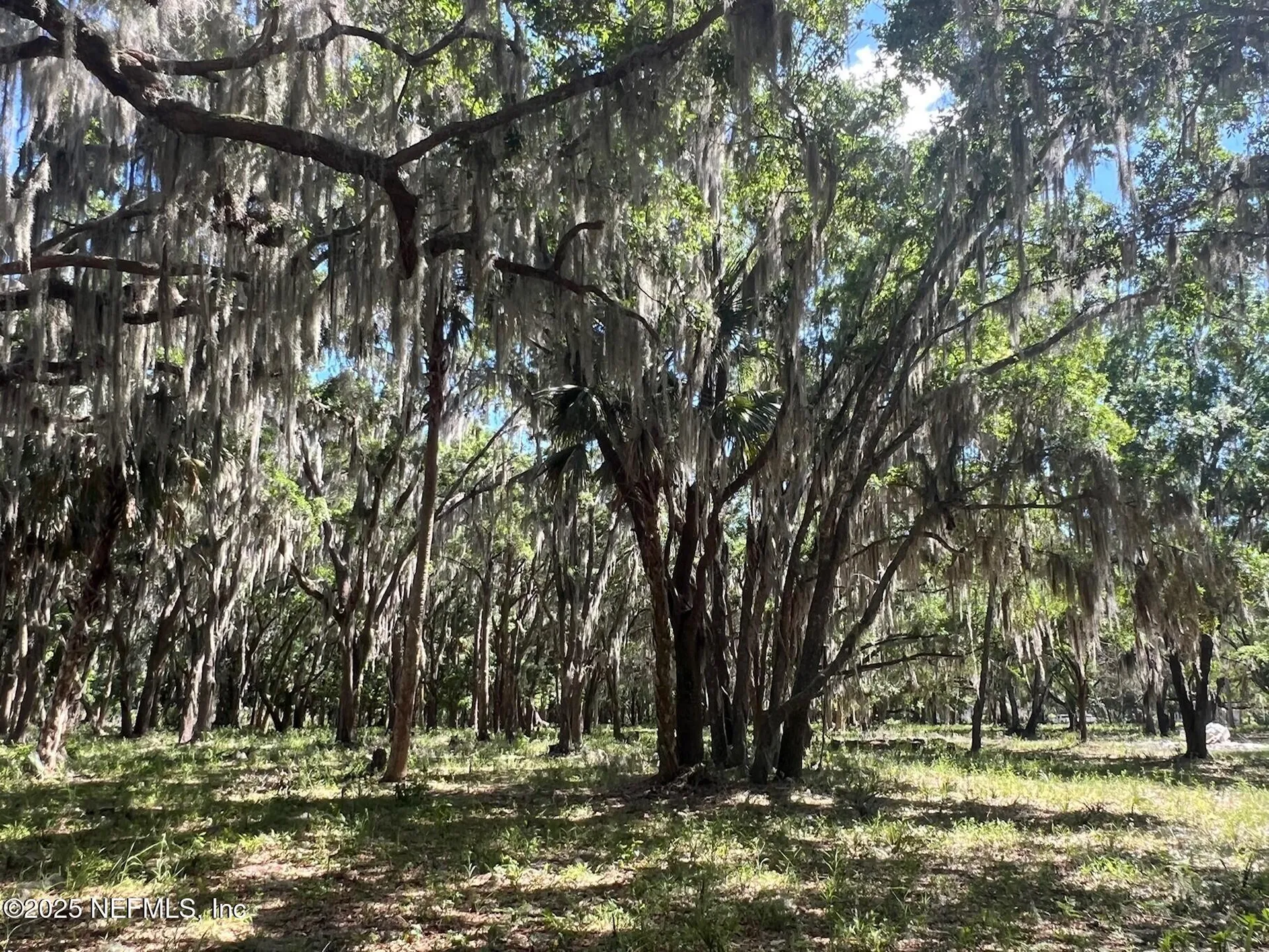 762 National Forest Road 75g Road Palatka FL 32177