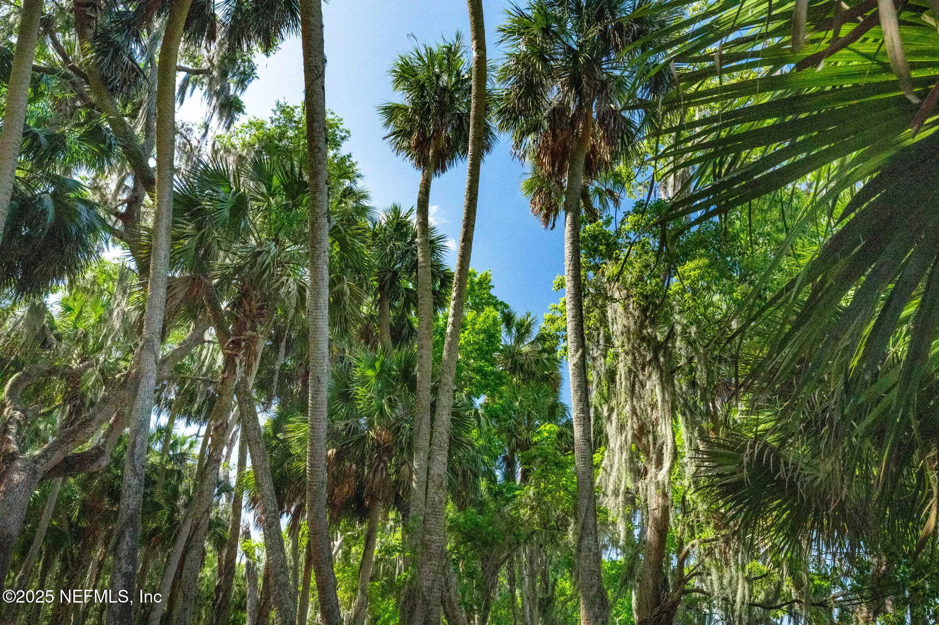 762 National Forest Road 75g Road Palatka FL 32177