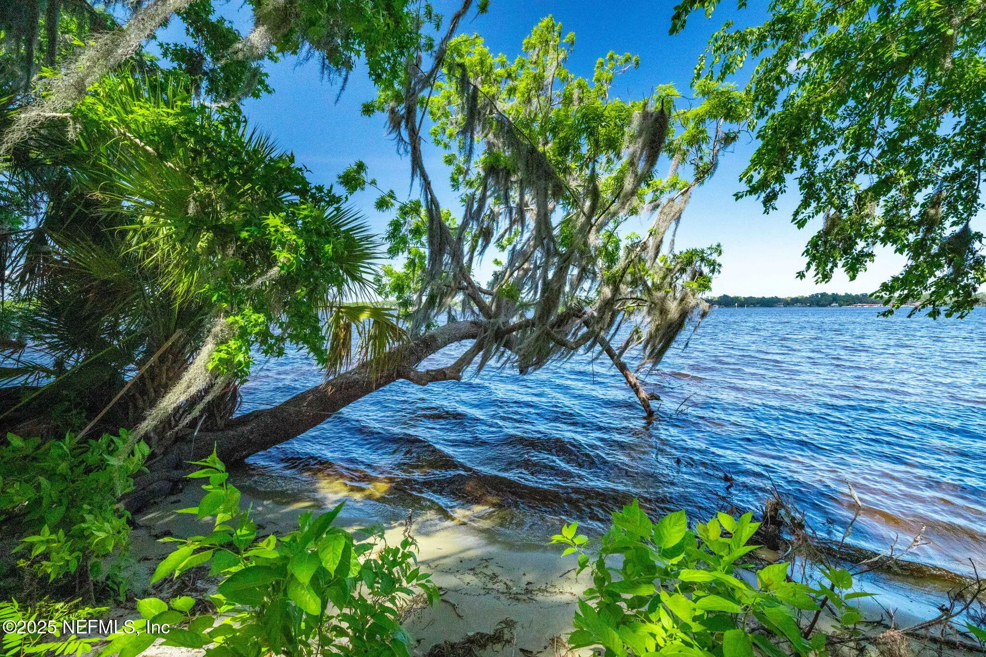 762 National Forest Road 75g Road Palatka FL 32177
