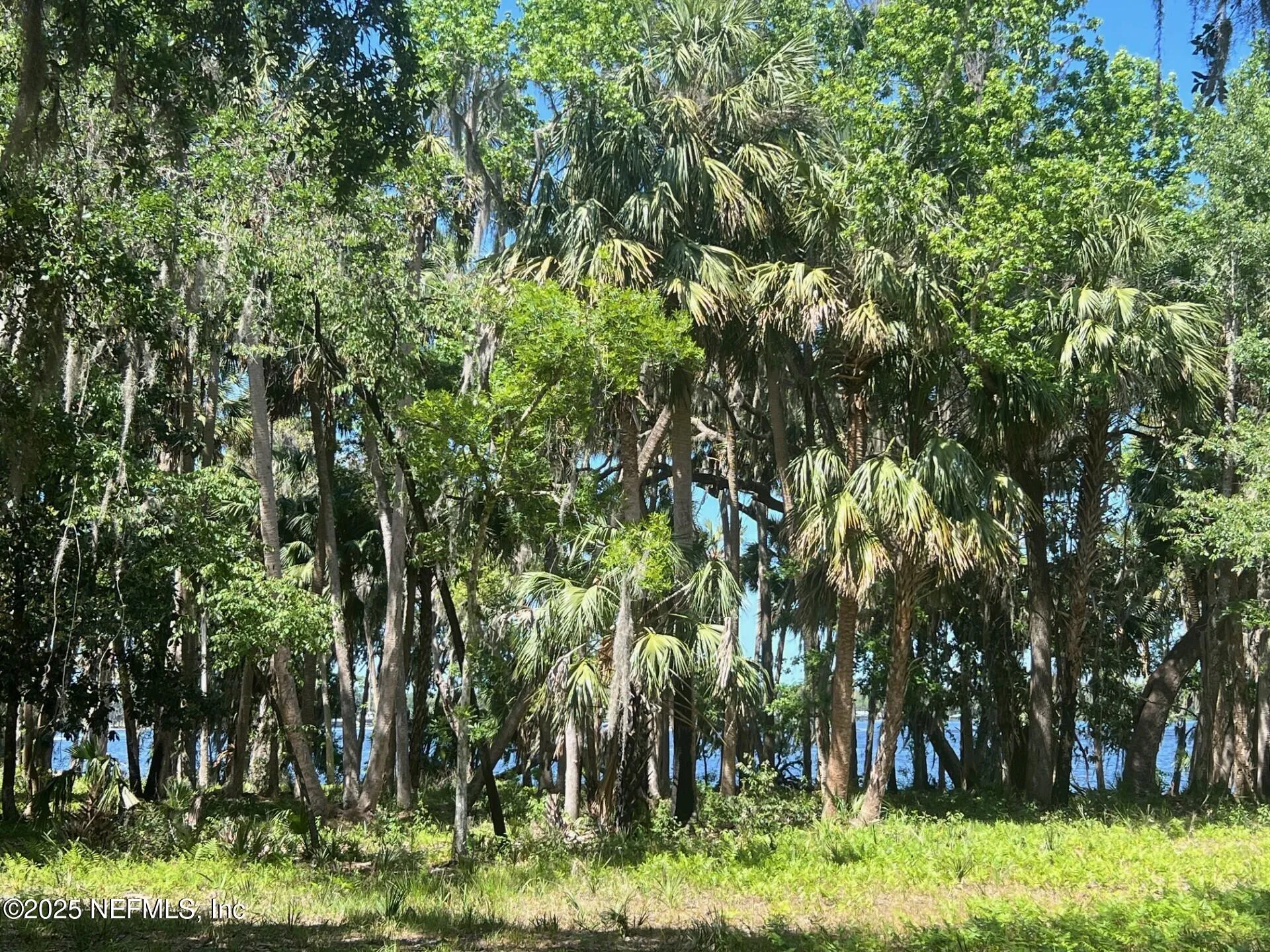 762 National Forest Road 75g Road Palatka FL 32177