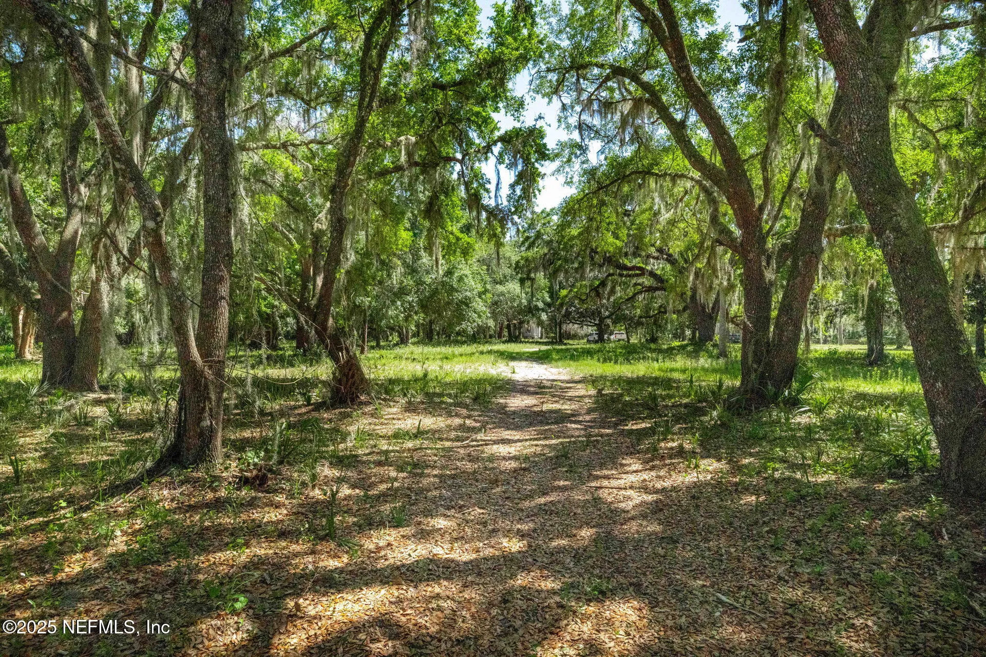 762 National Forest Road 75g Road Palatka FL 32177