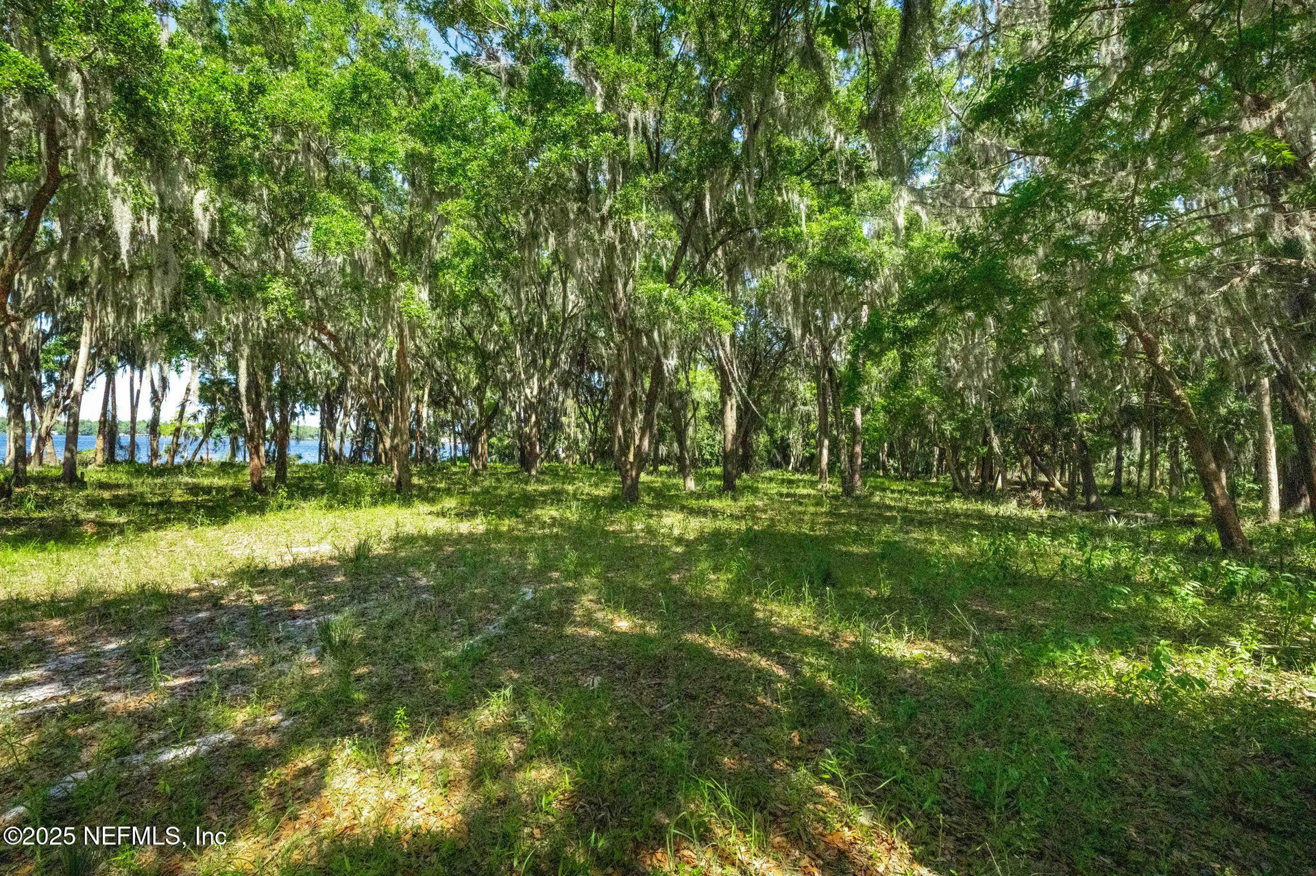762 National Forest Road 75g Road Palatka FL 32177