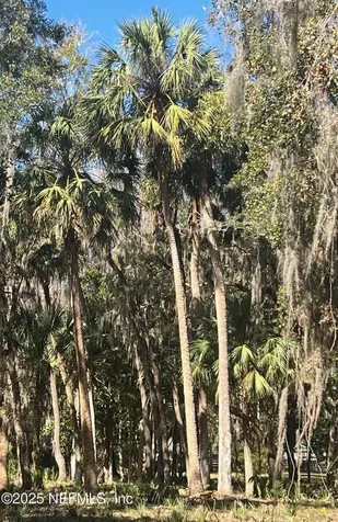 762 National Forest Road 75g Road Palatka FL 32177