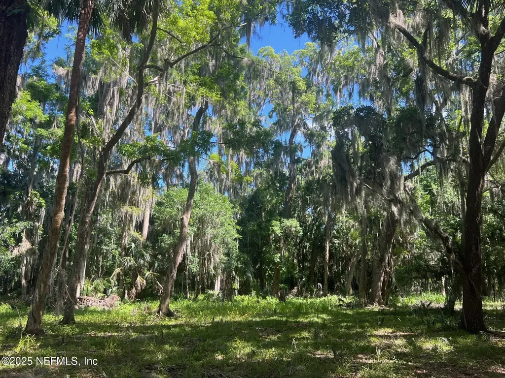 766 National Forest Road 75g Road Palatka FL 32177