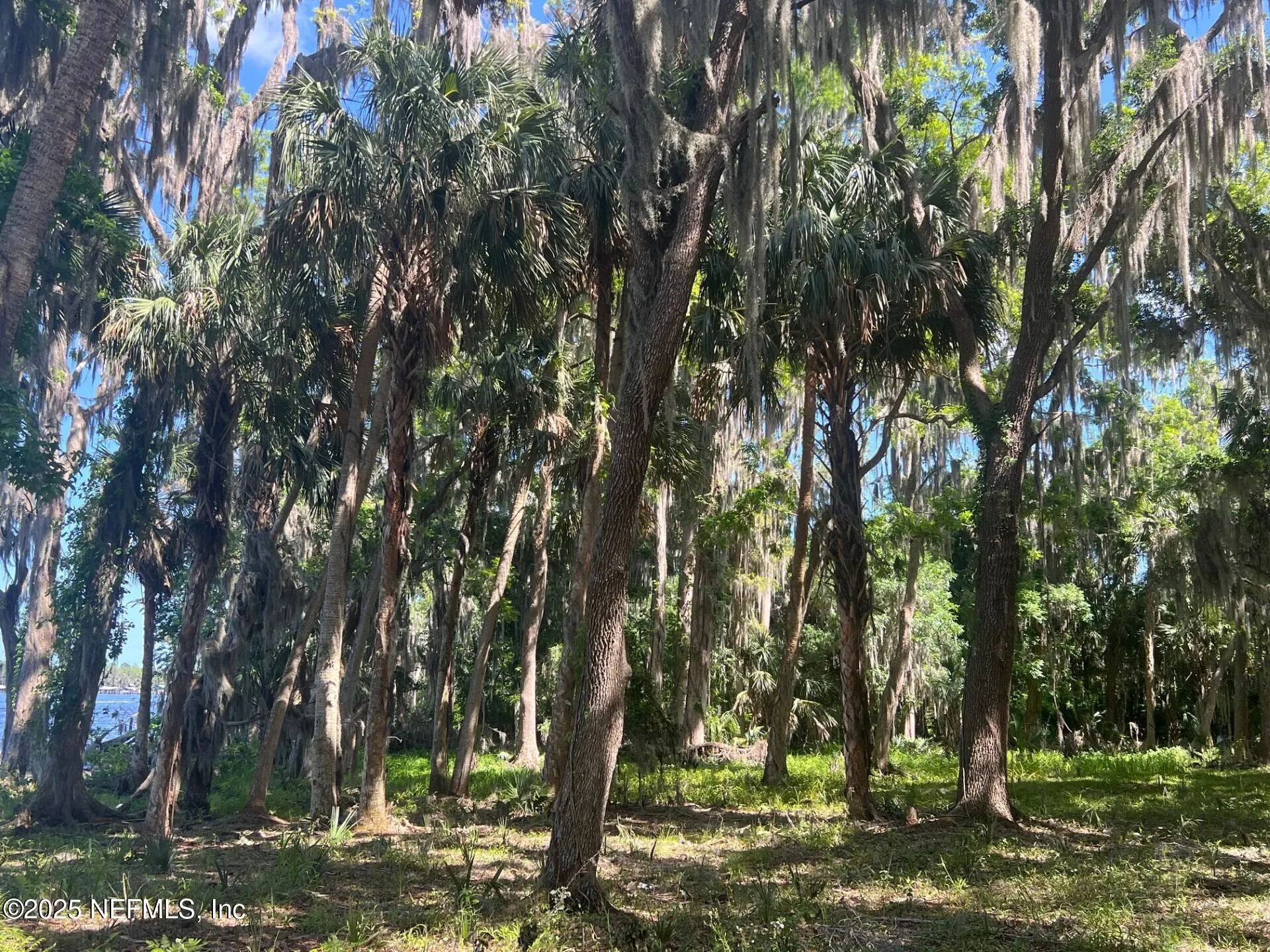 766 National Forest Road 75g Road Palatka FL 32177