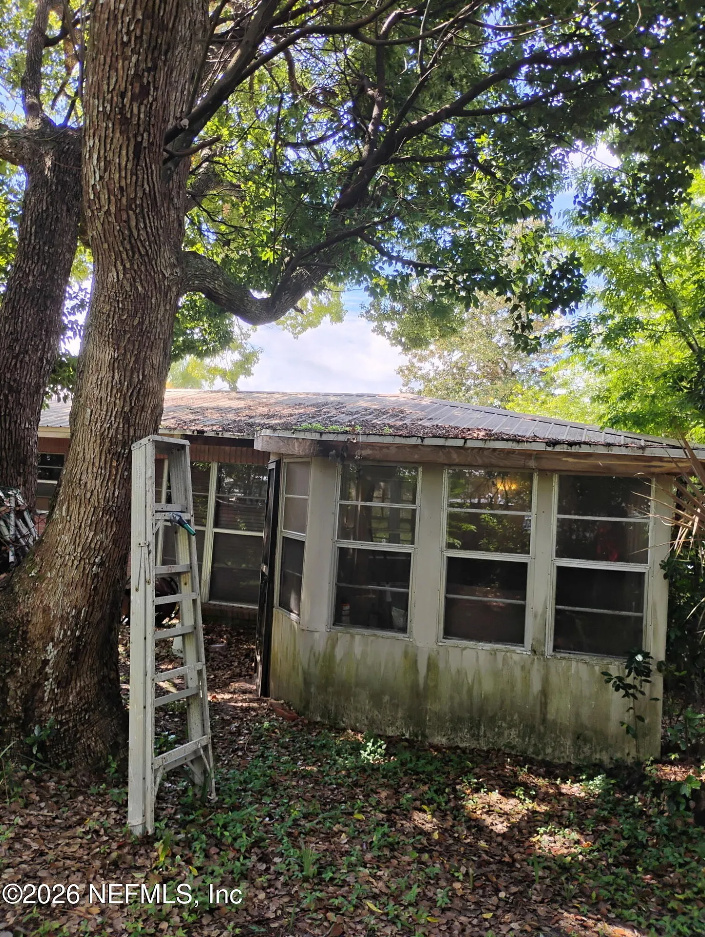 408 Magnolia Dr Drive Palatka FL 32177