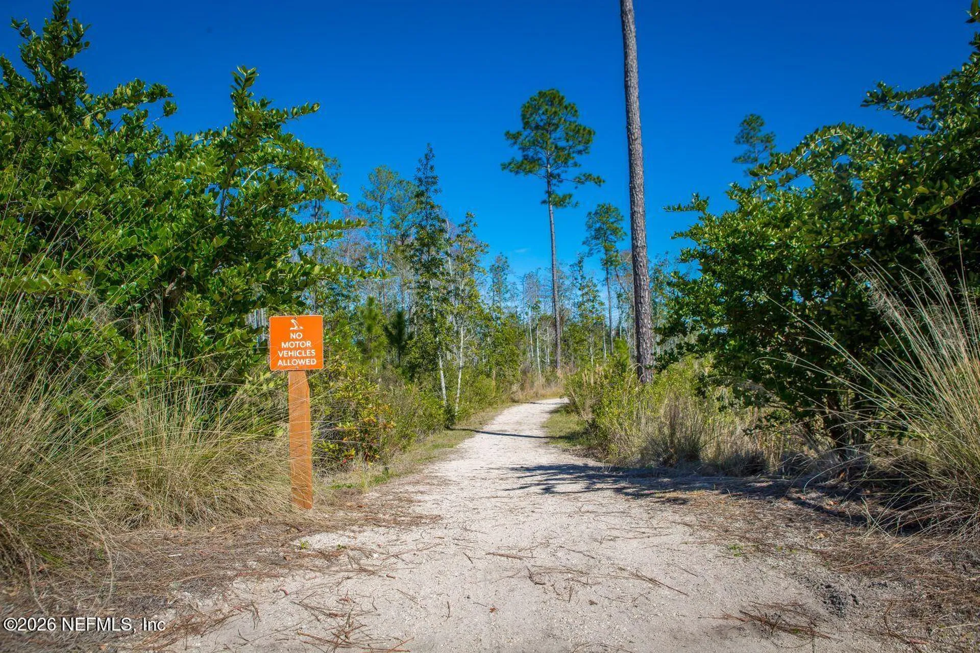 187 Beale Avenue St. Augustine FL 32092