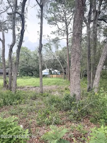 6614 Pine Grove Street Keystone Heights FL 32656