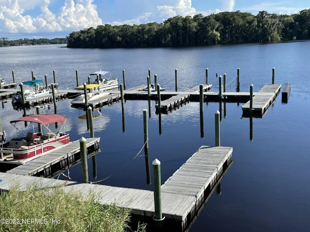 99 Broad River Place Welaka FL 32193