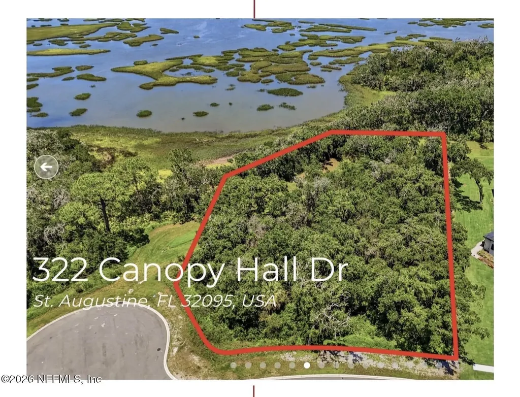 322 Canopy Hall Drive St. Augustine FL 32095