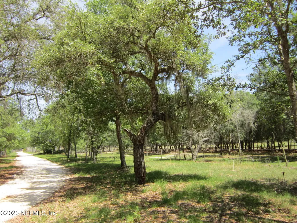 125 Kirby Lane Melrose FL 32666