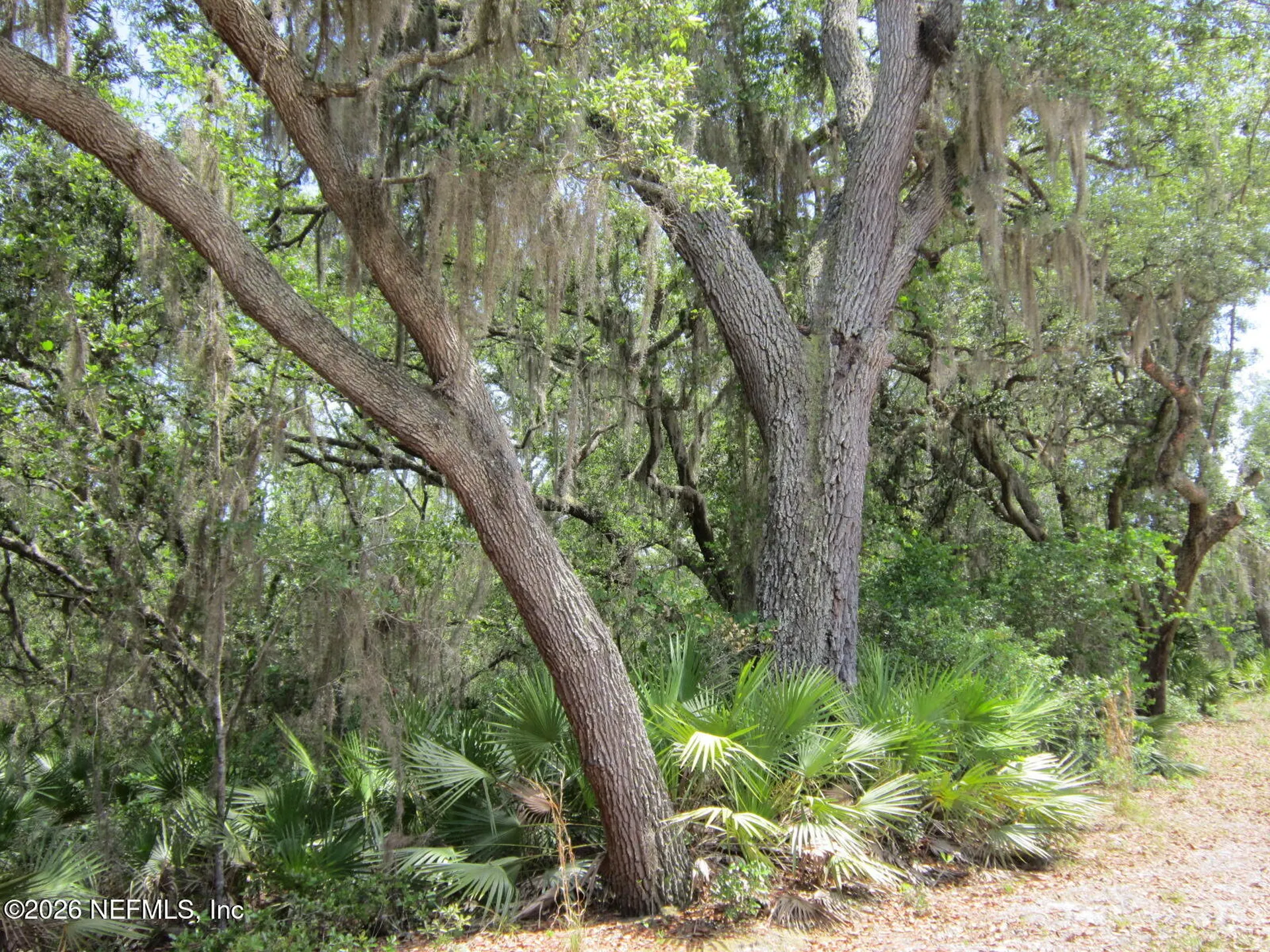 125 Kirby Lane Melrose FL 32666