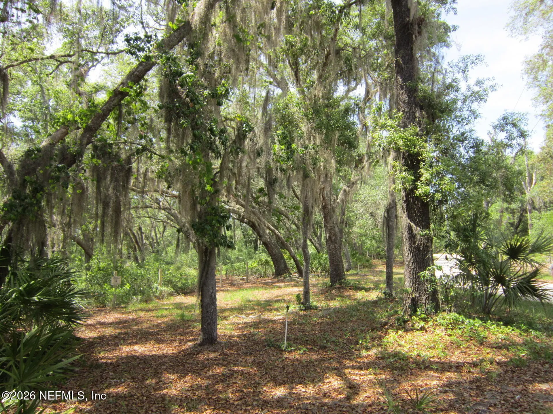 125 Kirby Lane Melrose FL 32666