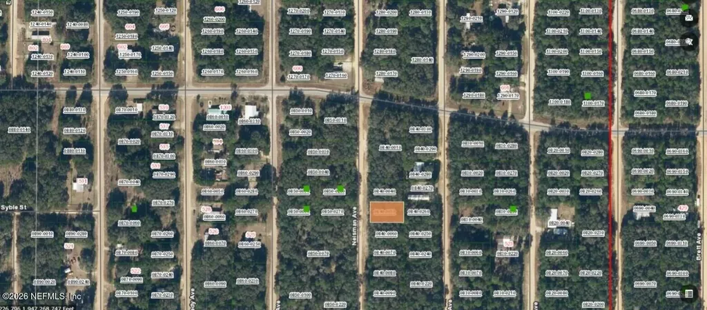 Xxx Neisman Avenue Interlachen FL 32148