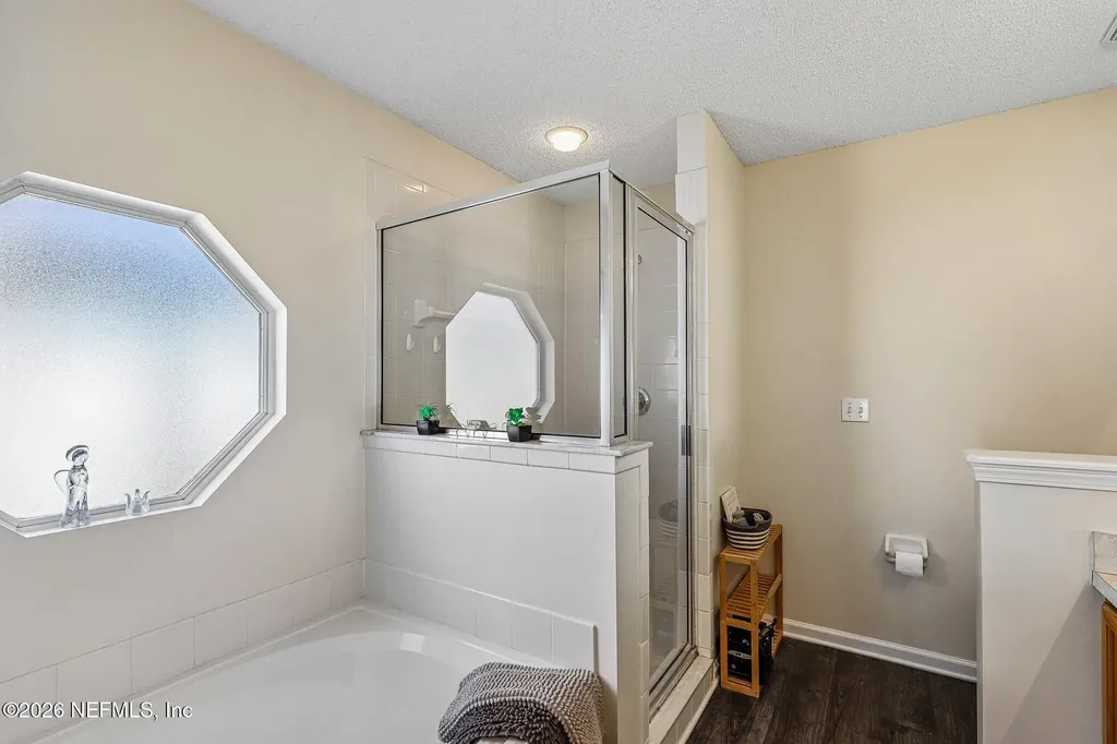 700 Scarlet View Court Orange Park FL 32073