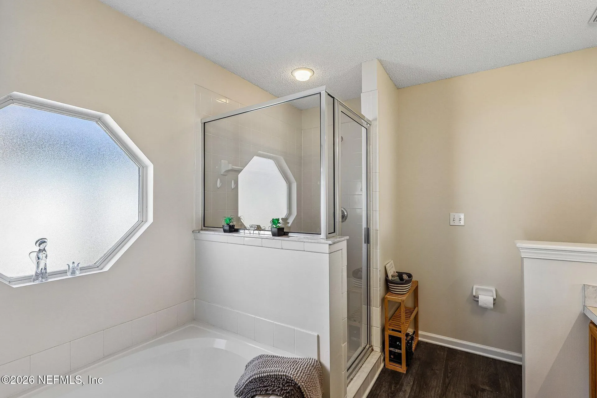 700 Scarlet View Court Orange Park FL 32073