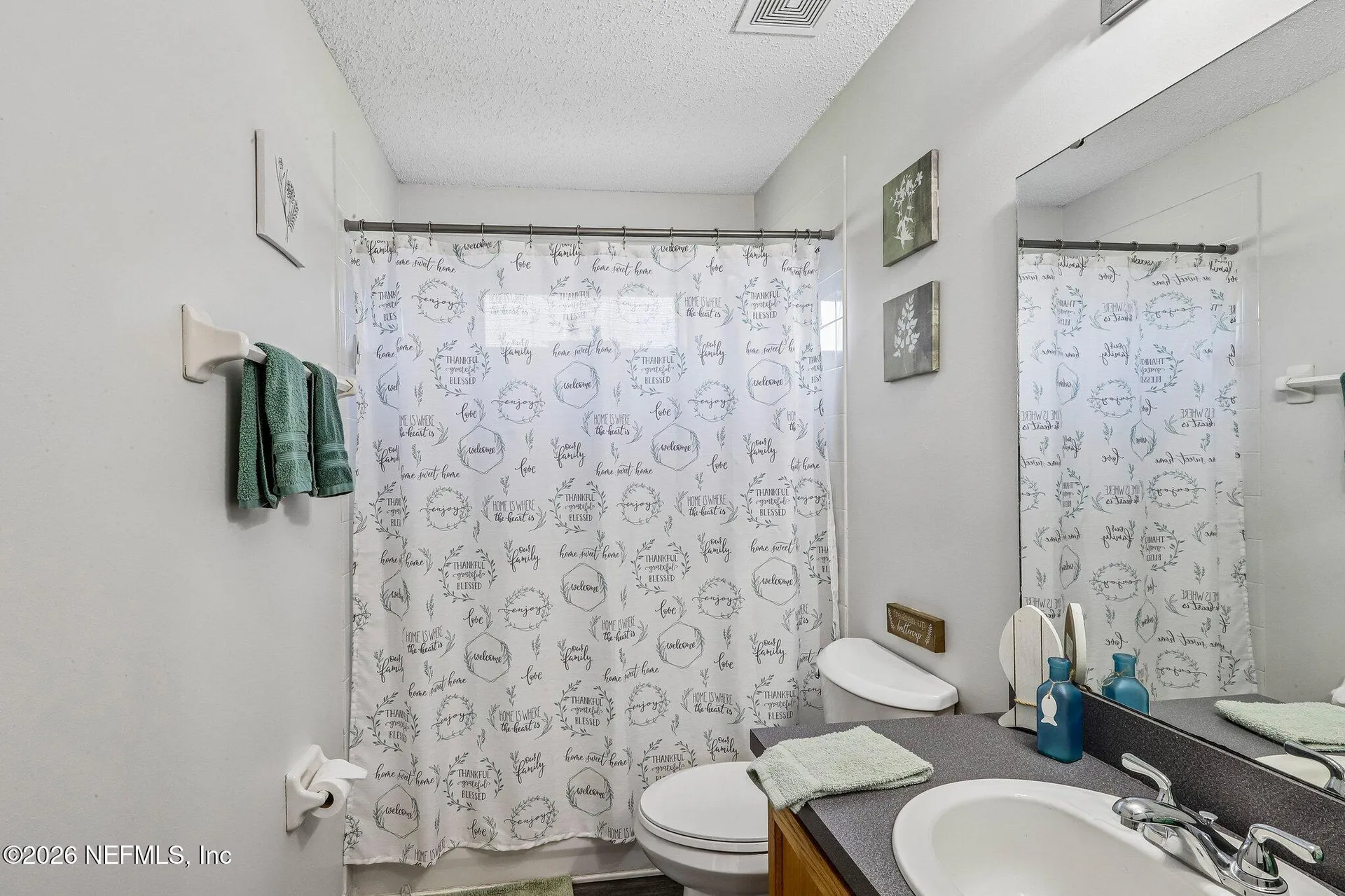 700 Scarlet View Court Orange Park FL 32073