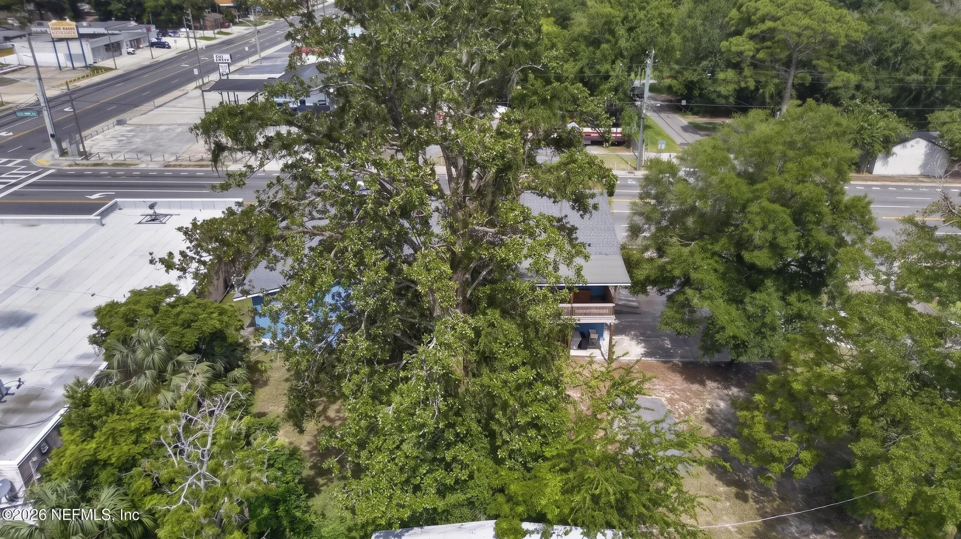 2016 Cassat Avenue Jacksonville FL 32210