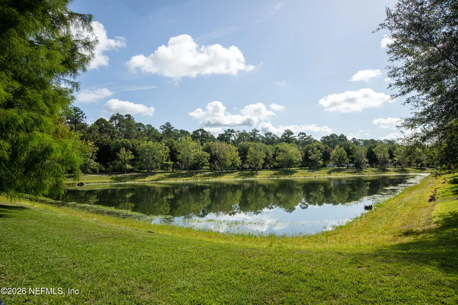 8123 NW 51st Drive Gainesville FL 32653