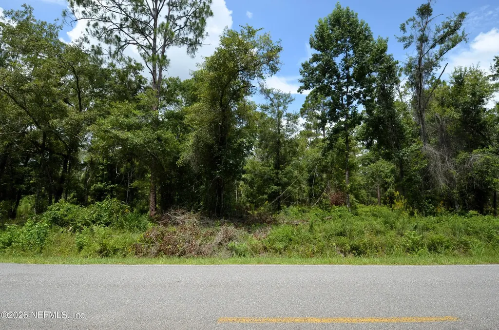 10155 Allison Avenue Hastings FL 32145