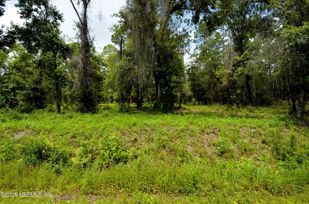 10155 Allison Avenue Hastings FL 32145