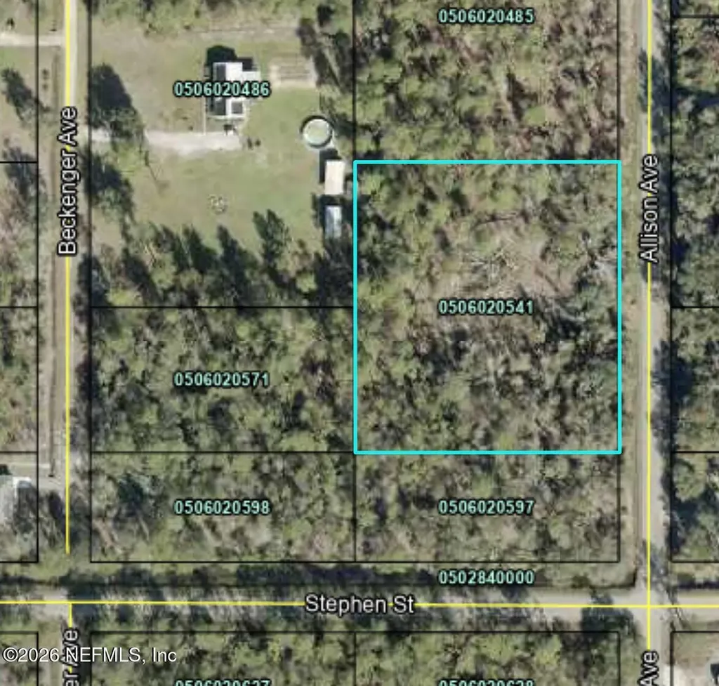 10155 Allison Avenue Hastings FL 32145