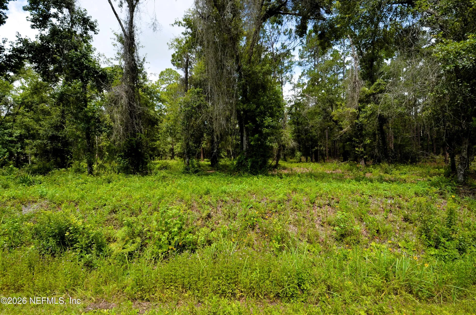 10155 Allison Avenue Hastings FL 32145